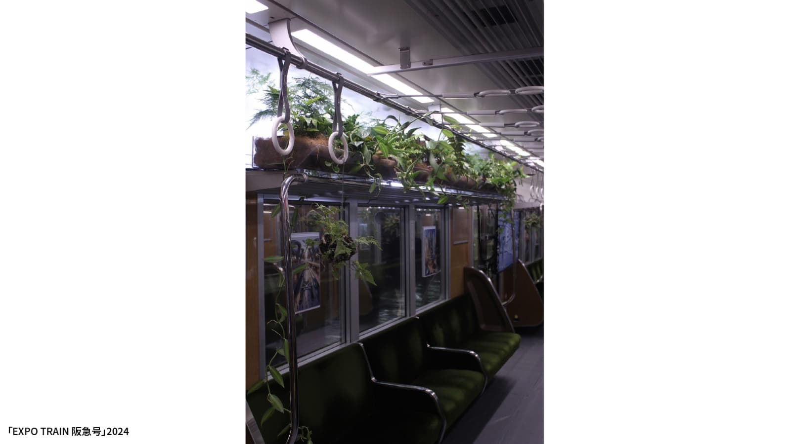 植栽・ハーブ園 3