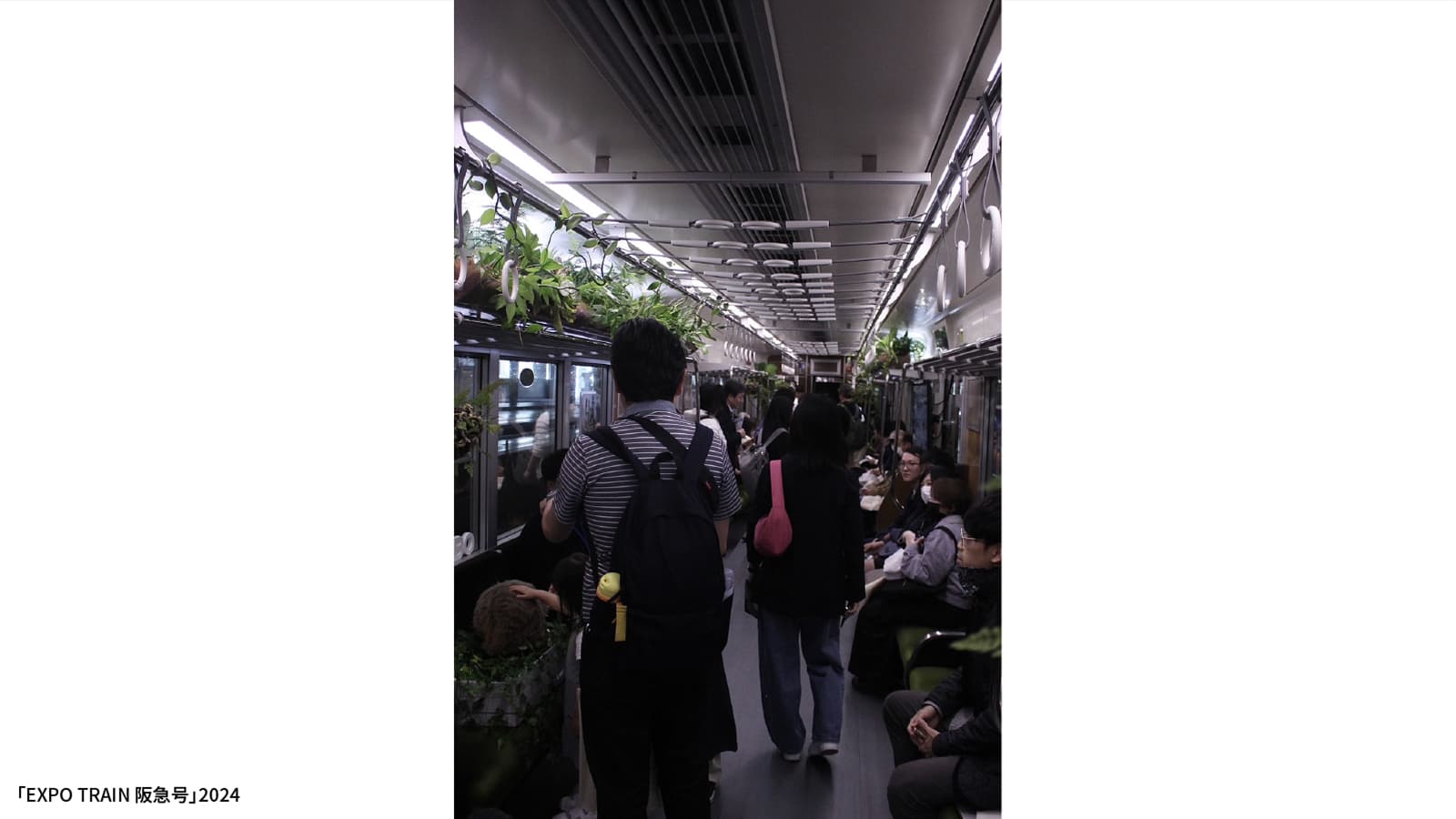 植栽・ハーブ園 4